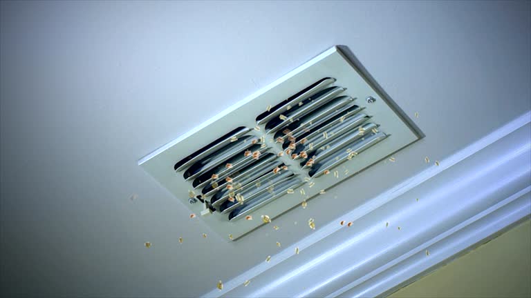 Best Affordable HVAC Duct Cleaning  in East Mckeesport, PA