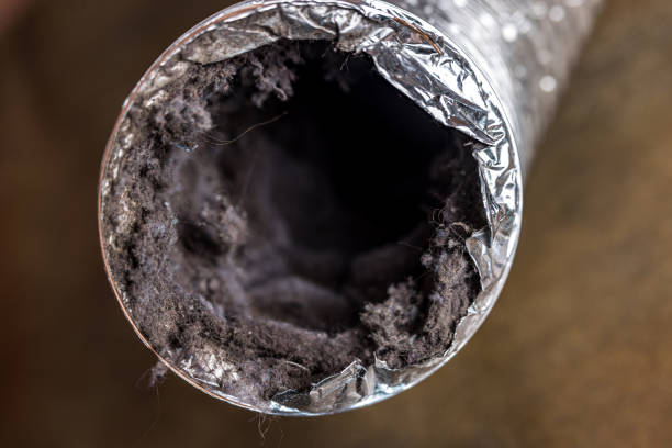 Best Professional Duct Cleaning Services  in East Mckeesport, PA