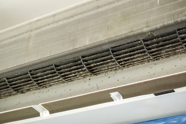 Best Air Duct Cleaning Near Me  in East Mckeesport, PA